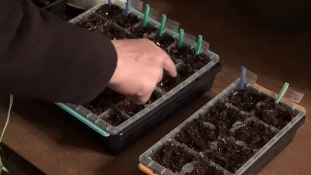 Hot Pepper Planting On A Cold Day In The Deep Mulch Garden 3-11-2022 смотреть онлайн