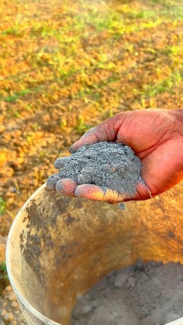 Try This Pest 🐛 Management Trick Get Rid of Pests Forever ☘️ जैविक खेती में कीट नियंत्रण смотреть онлайн