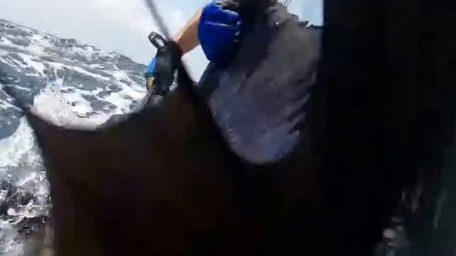 Elitefishing.net представляет:укрощение строптивого смотреть онлайн