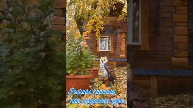 БазаКедровка#Талакан#БурейскоеВодохранилище смотреть онлайн