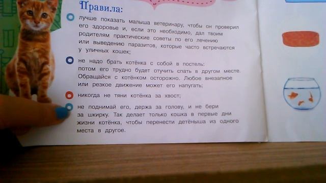 Про котенка смотреть онлайн