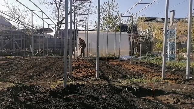один день на винограднике смотреть онлайн