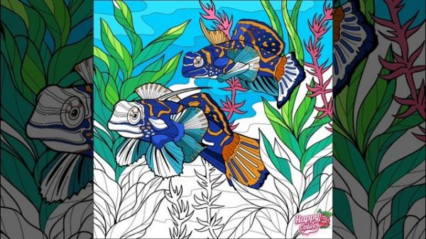 Beautiful fishs - Happy color