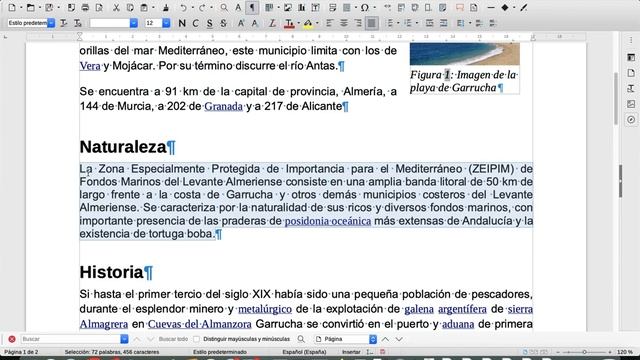 resumen procesador de textos смотреть онлайн