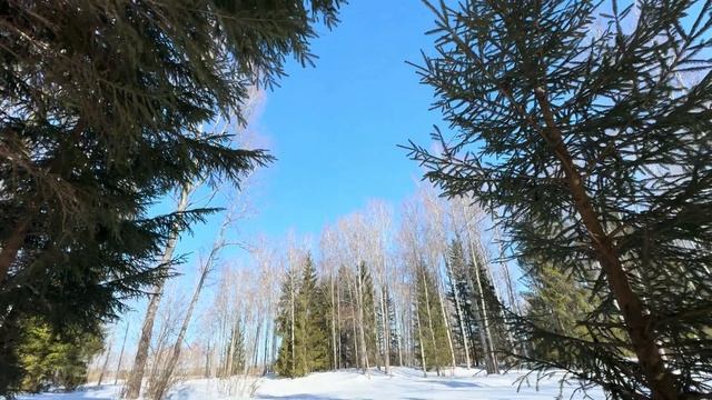 Мартовские зарисовки природы смотреть онлайн