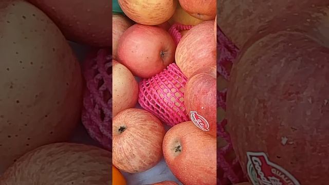 general bazar shakal 2 ghanta смотреть онлайн
