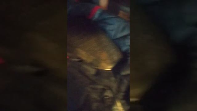 разбор на покраску смотреть онлайн