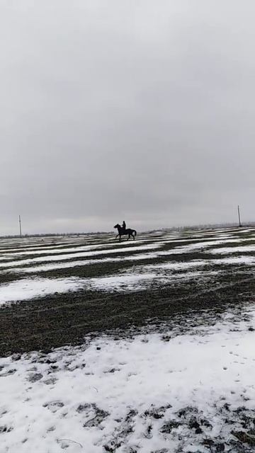 Иноходец Габар смотреть онлайн