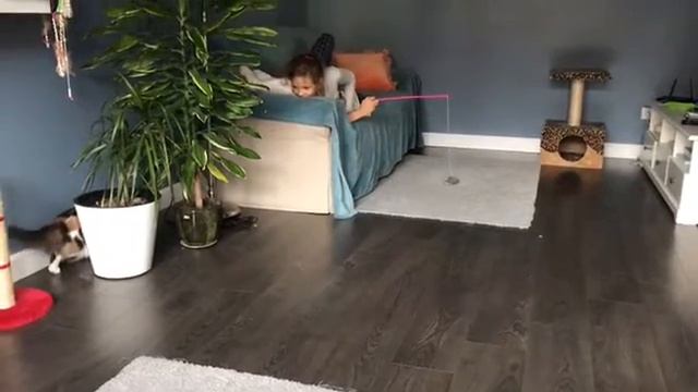 Охота за мышкой смотреть онлайн