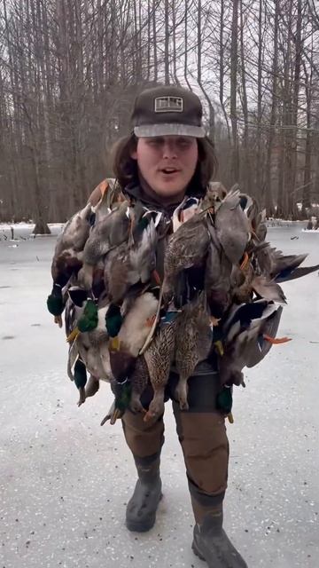 LIMITED OUT in Arkansas timber смотреть онлайн