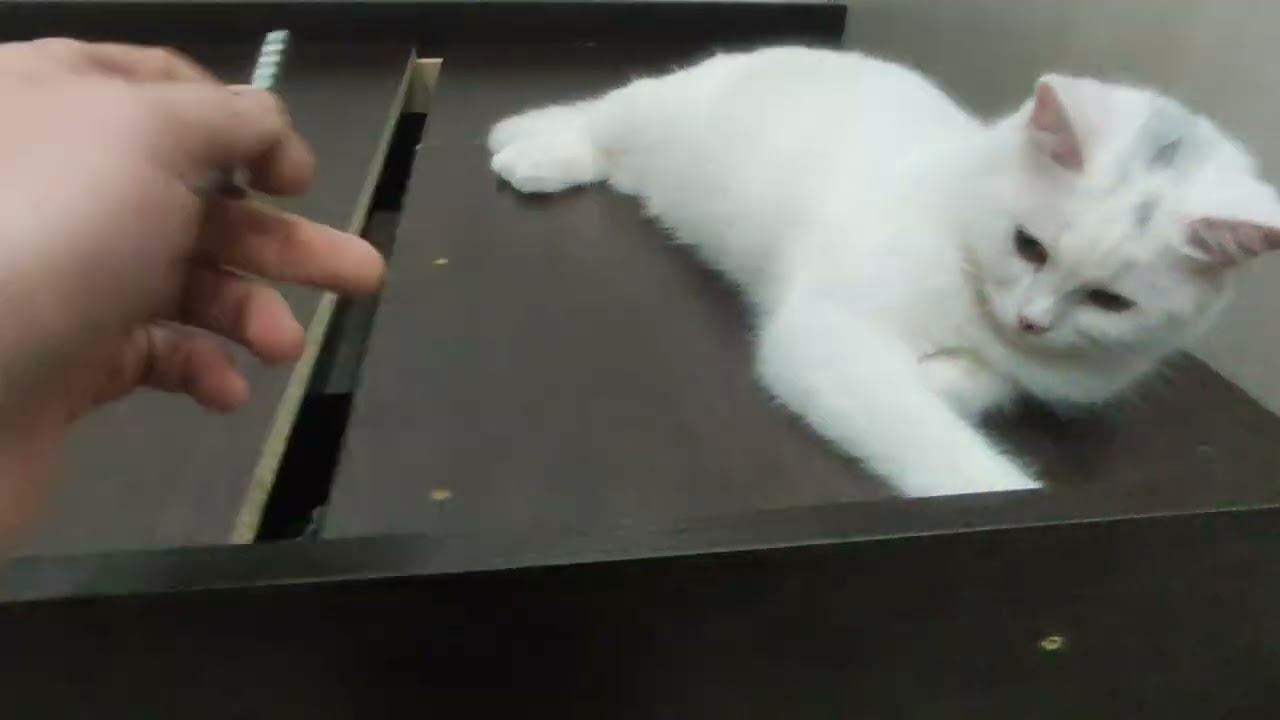 Евровинт. Усиление кровати. смотреть онлайн