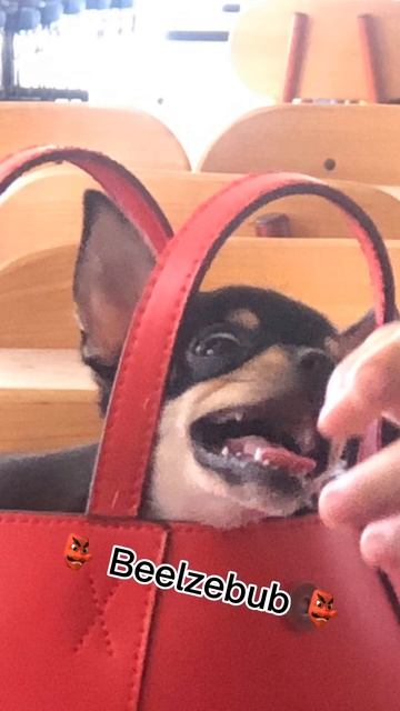 Belelial. Behemoth. Beelzebub. Asmodeus. Satanas. Lucifer. 👺 смотреть онлайн