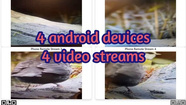 BVR Pro - security suite - real time 4 cameras video streams + motion detection смотреть онлайн