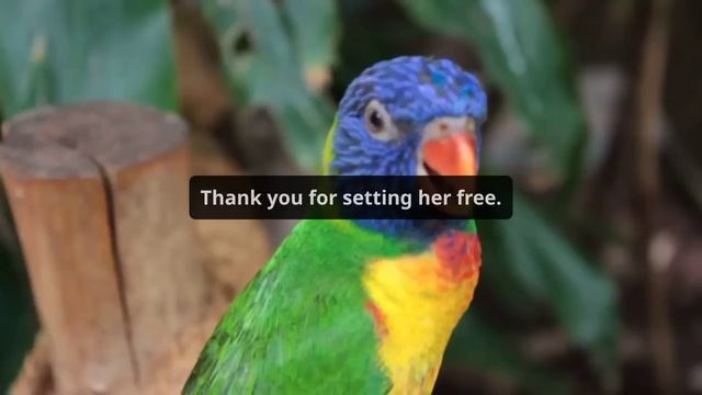 My Cheating Wife Tried To Cover Up Her Affair With AP But It Backfired In A Huge Way смотреть онлайн