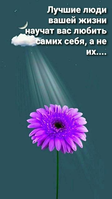 #цитаты #мудрость #психология #жизнь #отношения #саморазвитие #люди #любовь