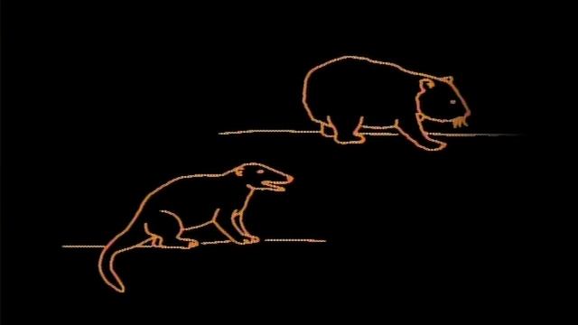 Космос 2 серия «Один голос в космической фуге» (сериал, 1980) смотреть онлайн