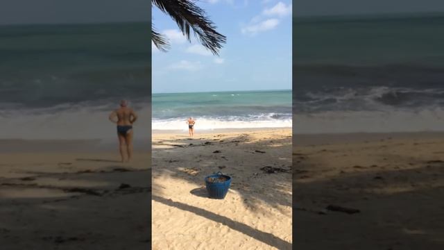 Lamai Inn 99 Koh Samui Thailand смотреть онлайн