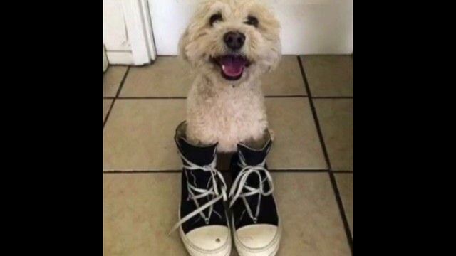 [FREE] Dom Corleo x Pepel Nahudi - Heaven prod. @fckyourswagg! + @youngfoontik264 + @ardaizo_ смотреть онлайн