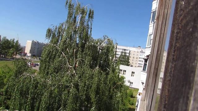 Мой блог Выращиваем траву=) смотреть онлайн