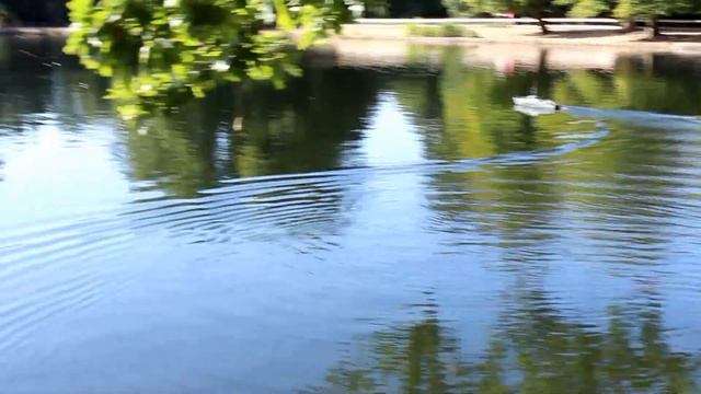 Vosper | Motor Torpedo Boat | Black Park 2019 смотреть онлайн