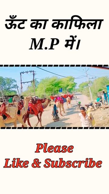 ऊँट का काफिला बिडियो देखें।#shorts #viral shorts #youtube shorts смотреть онлайн