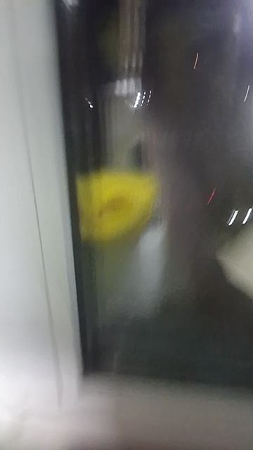 1000008466.mp4 смотреть онлайн