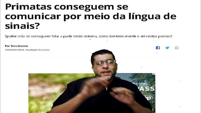 Papagaios Não Falam