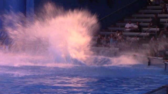Orca Encounter (Full Show) - SeaWorld Orlando - November 9, 2021