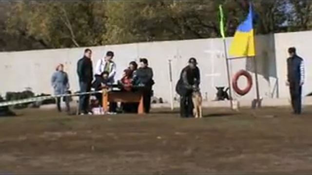 ЧУ по Обидиенс ЮГ ОСЕНЬ 2012 5 Савочка Рокки смотреть онлайн