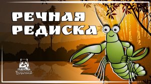 РАК РЕЧНОЙ НА ВЬЮНКЕ🐟 Russian Fishing 4 ● Прохождение #25