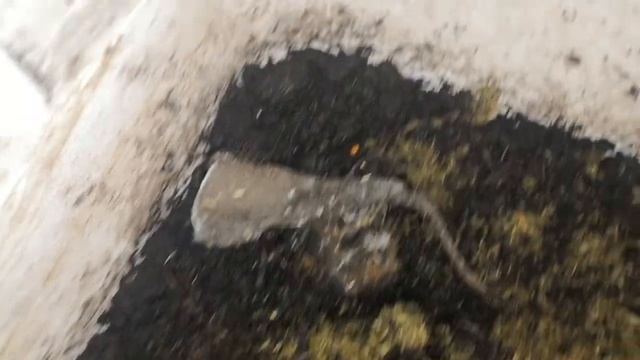 Выползок Вася." Вид с верху" смотреть онлайн