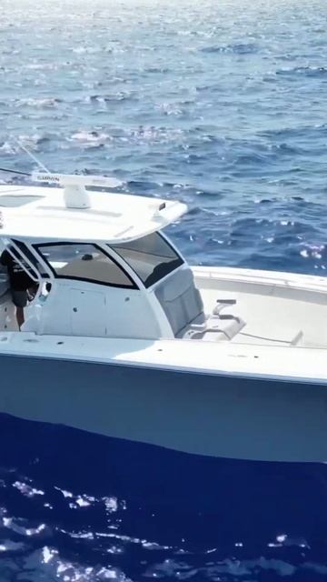 Blackwater 41 W/ 450R #TunaFishing смотреть онлайн