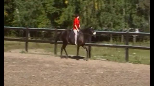 Работа на рыси 05 09 09 смотреть онлайн