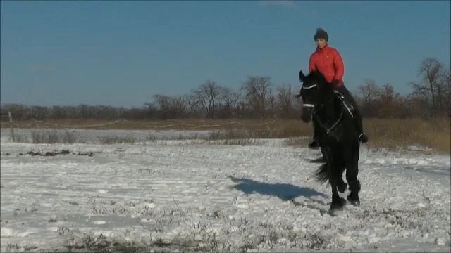Фриз смотреть онлайн