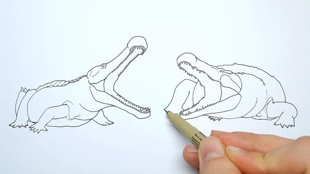 How to Draw Sarcosuchus vs Deinosuchus Drawing and Coloring смотреть онлайн