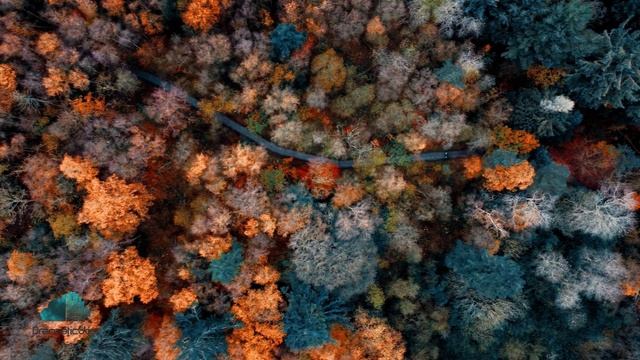 Headstrong & Aurosonic feat. Stine Grove - I Won't Fall (Progressive Mix) 4K смотреть онлайн