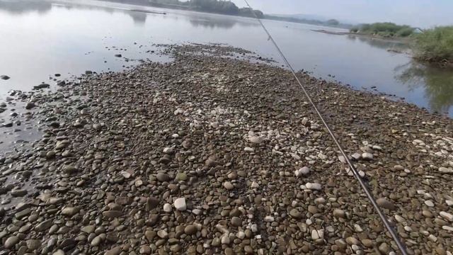 Трофейний жерех вже чекає на перекатах Дністра смотреть онлайн