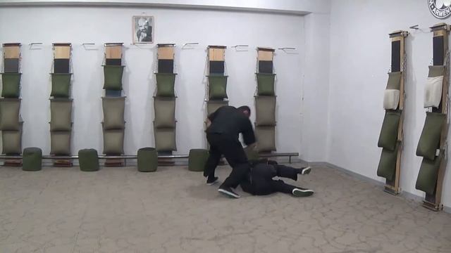 Armenian Wing Tsun (Винг Чун), Chi Sao, attacking Tiger, Miqael Ayvazyan смотреть онлайн