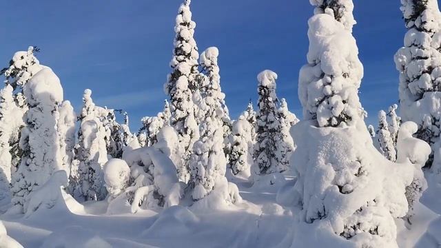 Подъем на гору в санях смотреть онлайн