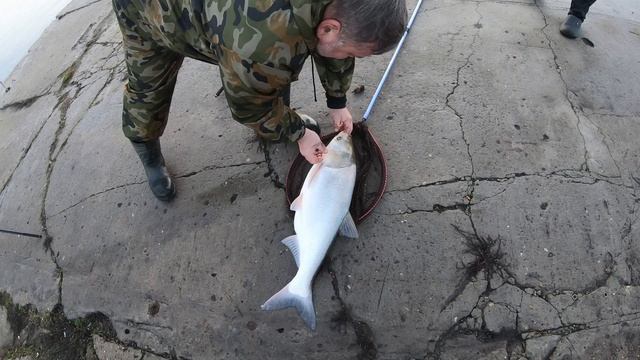 Рыбалка на Кубани краснодар