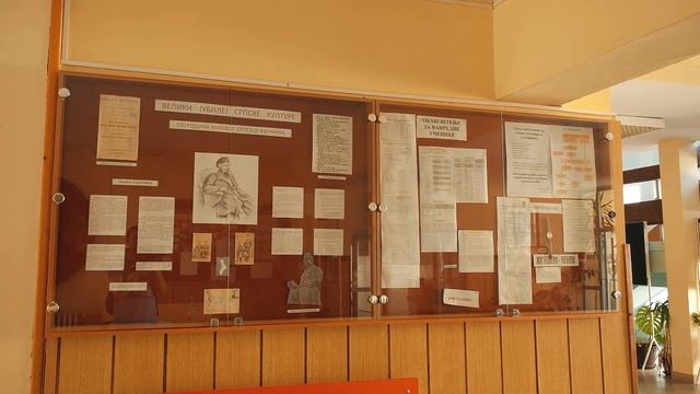Oni su budućnost Pirota - Milutin Bačlija-učenik generacije Tehničke škole смотреть онлайн