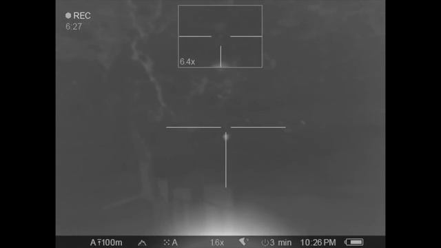 Wallaby shooting with Pulsar Trail thermal scope смотреть онлайн