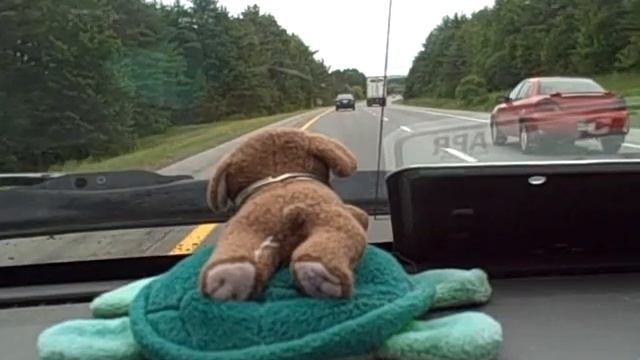 Driving Miss Squeaky - This Island Needs A Karmic Enema! смотреть онлайн