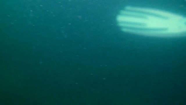 Lake Michigan shipwreck SCUBA diving, 9/23/2018 #3 смотреть онлайн