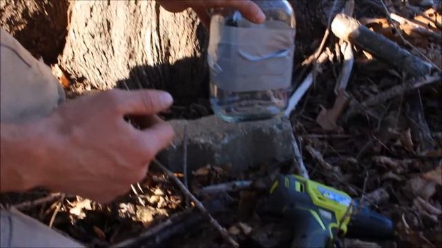 How to tap a maple tree... and what we use the sap for! смотреть онлайн