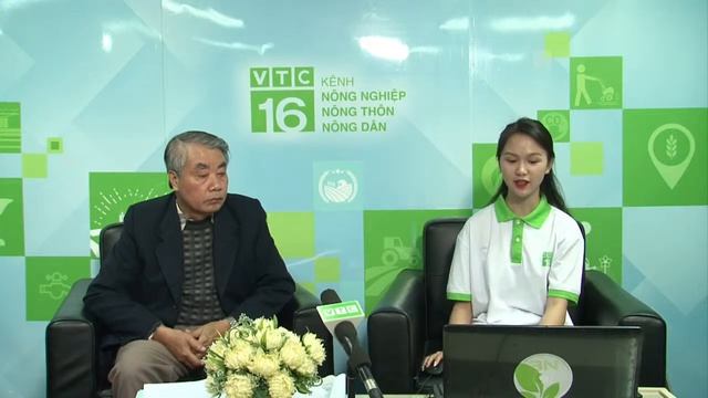 [Trực Tiếp] Tư Vấn Nông Nghiệp Trực Tuyến, Sáng 31/12/2020 (từ 08h30 - 10h) | VTC16