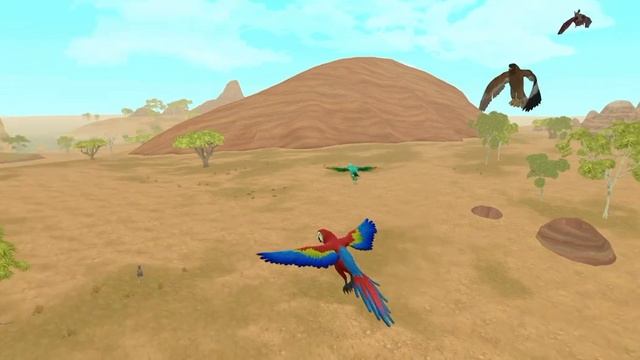 Мини-сериал Попугай Ара в Австралии 🇦🇺 2 серия (Красивый закат в Австралии и дождь) смотреть онлайн