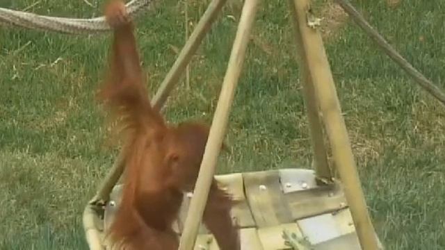 АИШКИНО УТРО 28. 03.2016 смотреть онлайн