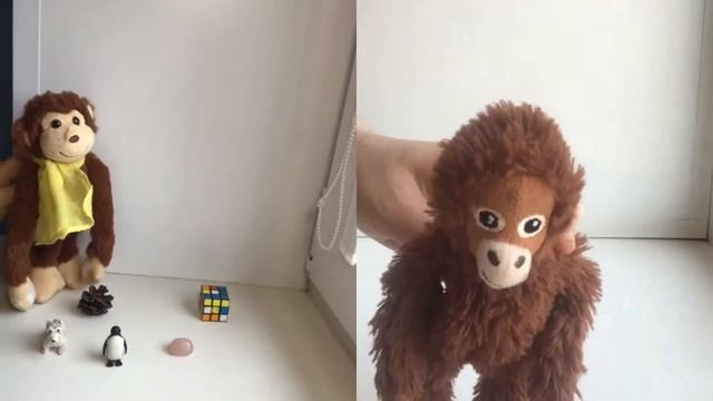 Видеомоделирование: Развиваем внимание и память вместе с Бо и Тошей (онлайн звонок) смотреть онлайн