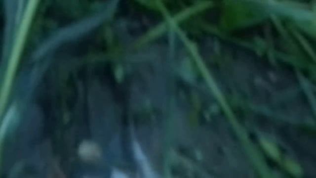 Виліт падьонки р. Стир. смотреть онлайн